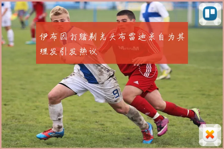 伊布因打赌剃光头布雷迪亲自为其理发引发热议